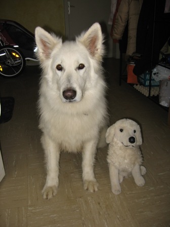 Caruso und Bobby