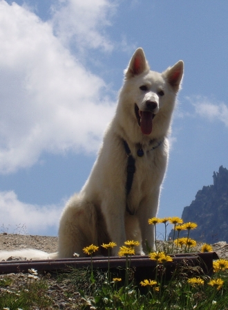 2006 Silvretta - Piz Buin2