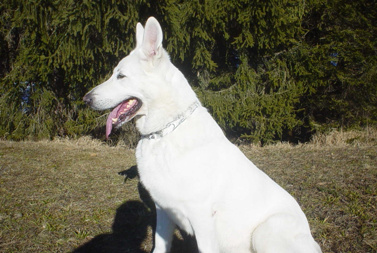 DSC00470 DSC00470